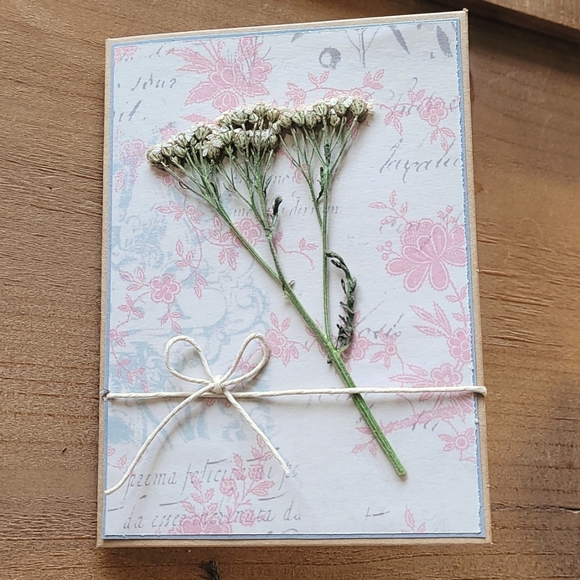 🌟LAST ONE🌟Dried Yarrow Flower Set of 6 Handmade cards - Picture 4 of 8